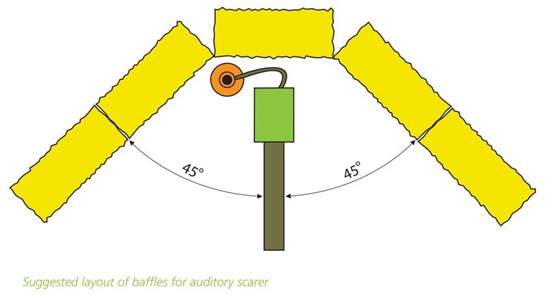 Diagram showing the suggested layout of sound baffles for an auditory bird scarer, with straw bale baffles positioned at 45 degrees either side to direct sound away from neighbouring premises such as a glamping site