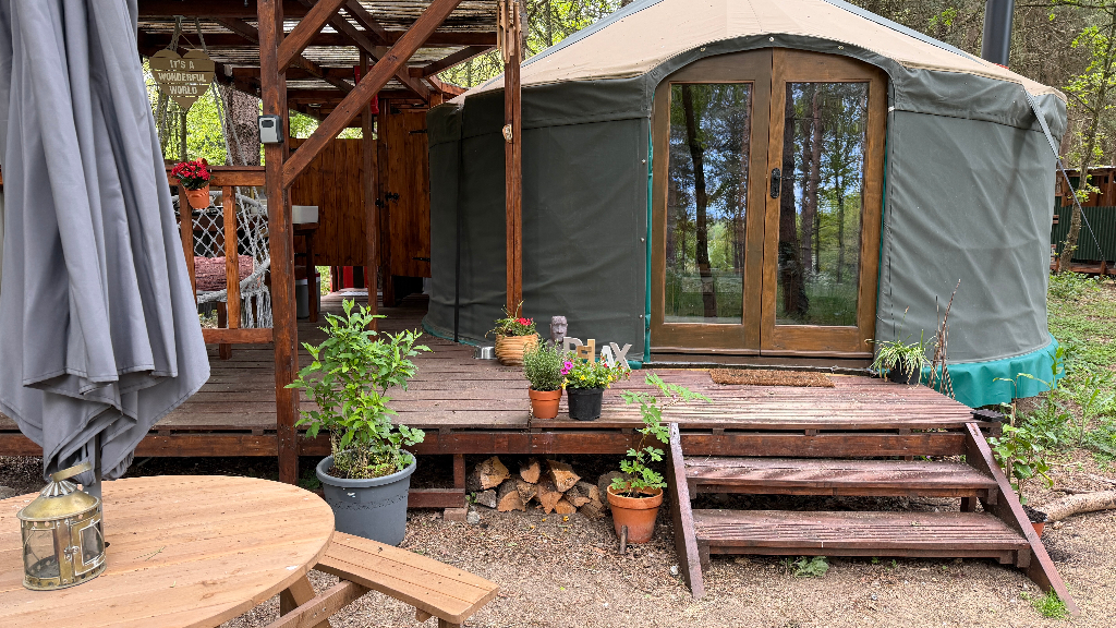Green canvas glamping yurt with wooden double doors and deck in pine woodland at the North Norfolk campsite near Holt